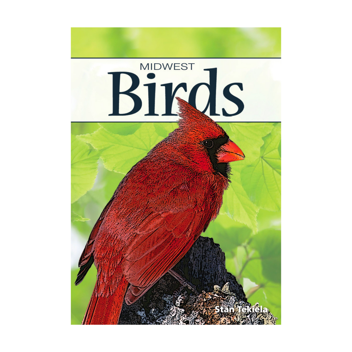 Birds of Midwest Playing Cards