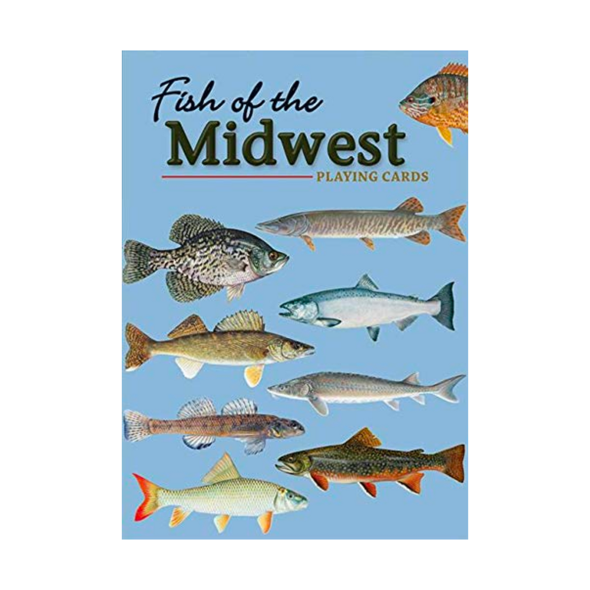 Fish of Midwest Playing Cards