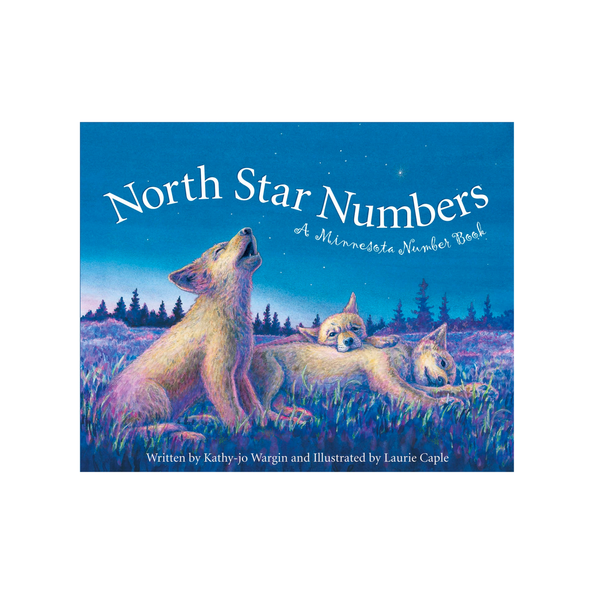 North Star Numbers: A Minnesota Number Book