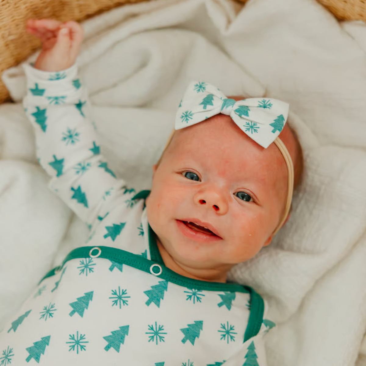 Bowtie Nylon Bow - Alps