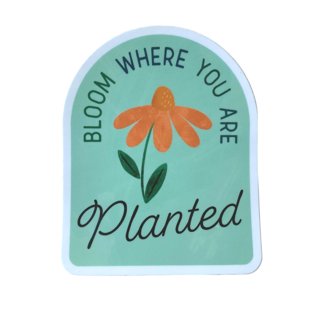Bloom Where you are Planted Vinyl Sticker