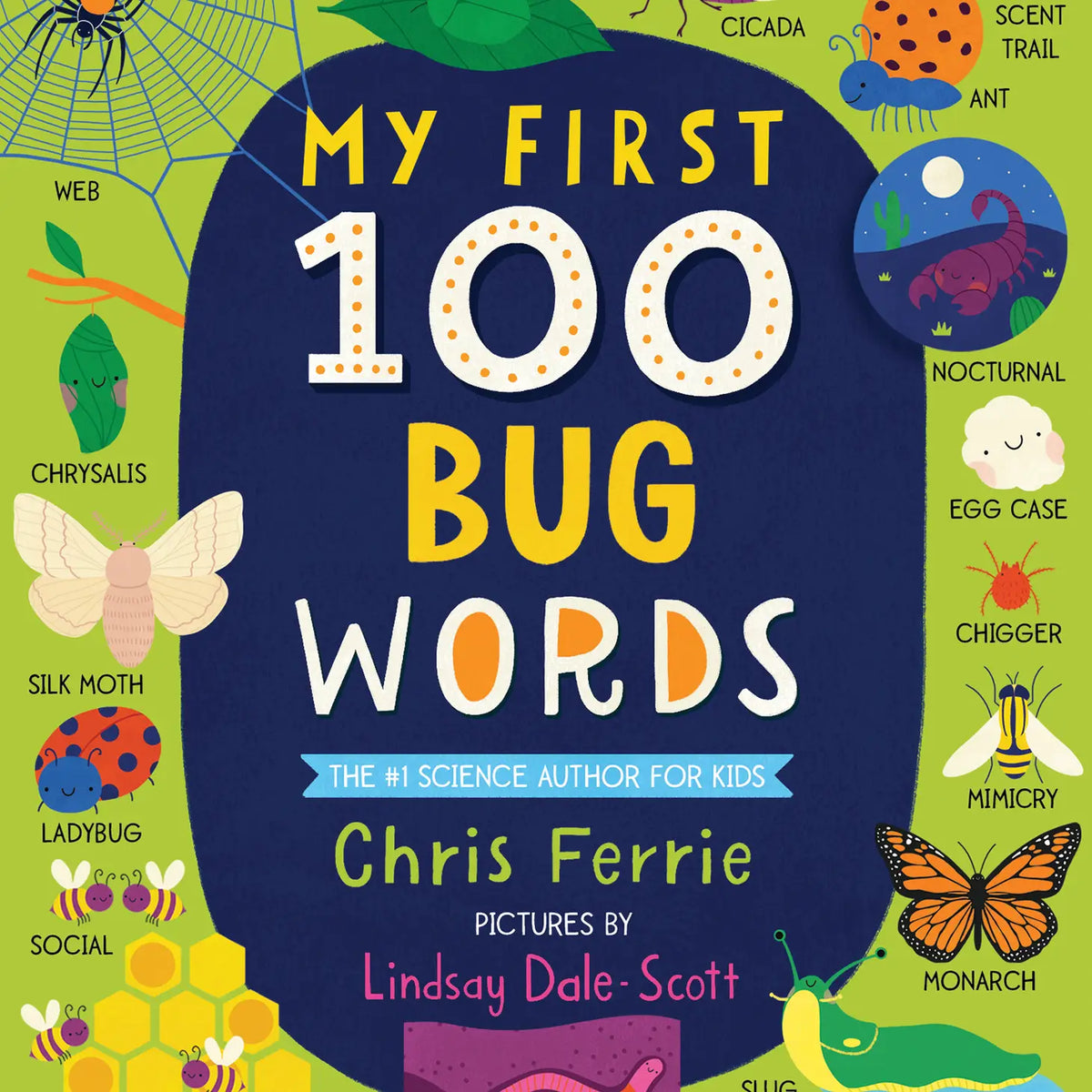 My First 100 Bug Words Children&#39;s Book