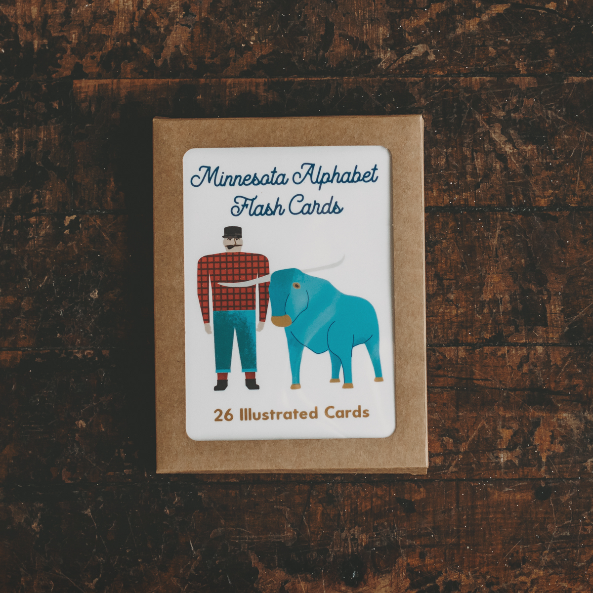 Children&#39;s Minnesota Icons Alphabet Flash Cards