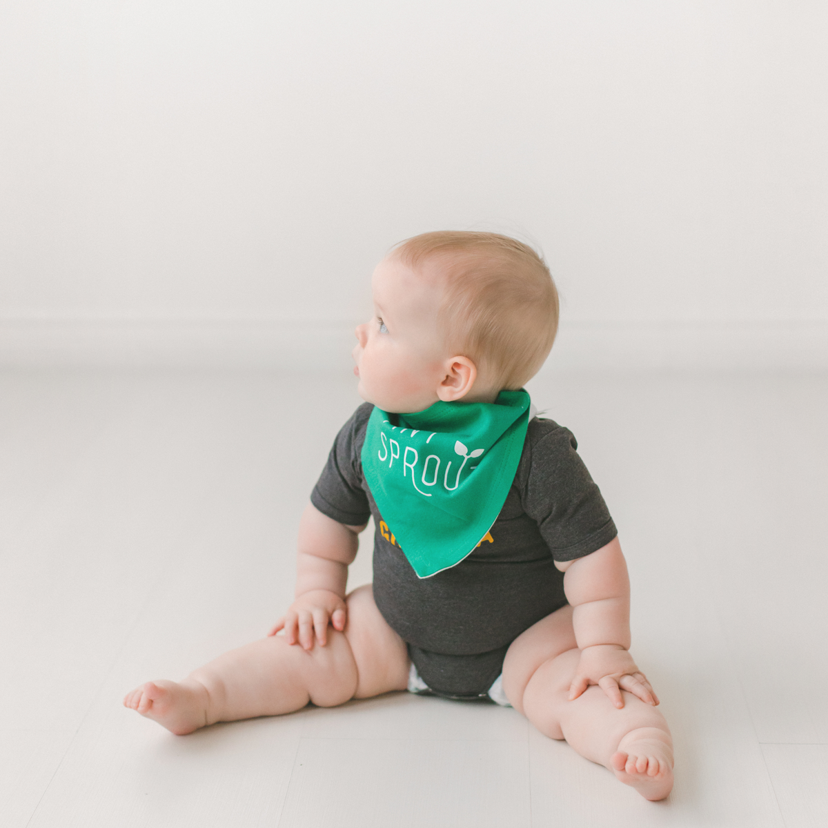 Tiny Sprout Baby Bandana Bib