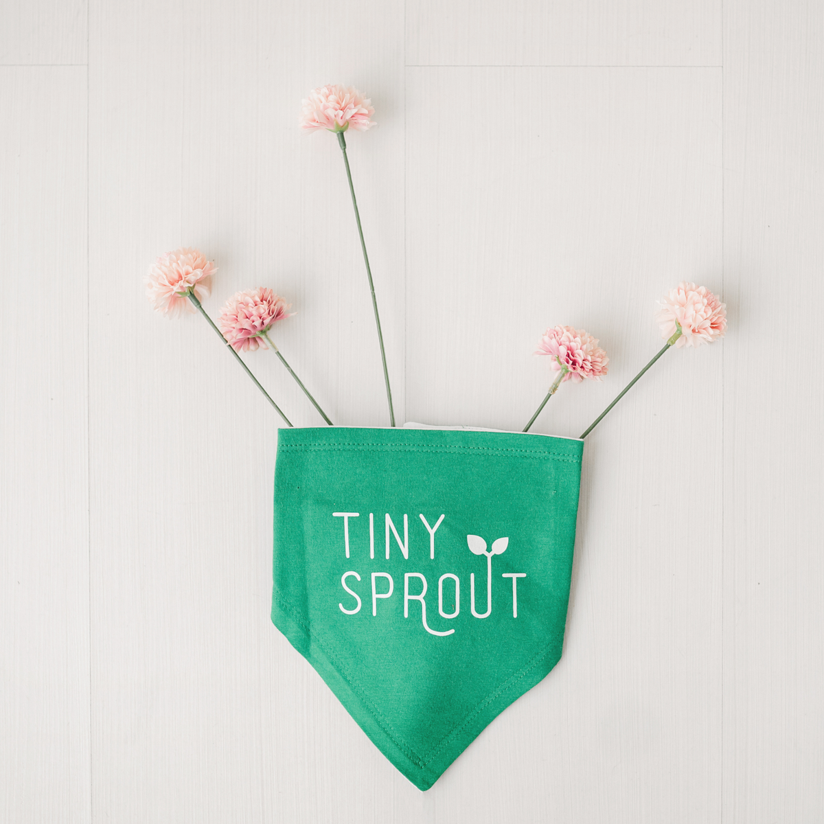 Tiny Sprout Baby Bandana Bib